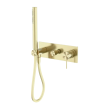 NERO - MECCA Shower Mixer Divertor System