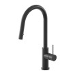 NERO - MECCA Pull Out Sink Mixer With Vegie Spray Function