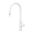 NERO - MECCA Pull Out Sink Mixer With Vegie Spray Function