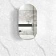 OTTI - NOOSA Pill Shape Black Oak Shaving Cabinet