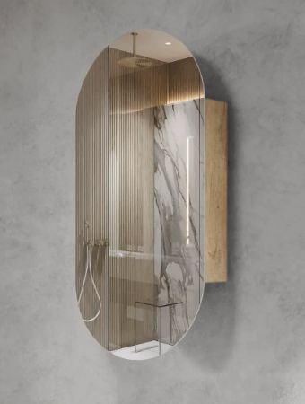 Shaving Cabinet Img