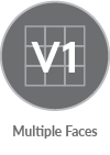 swicon-multiple faces-V1