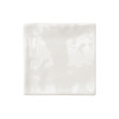 Luxe Ash Grey 100x100 Gloss