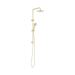 Nr250805d01bg Round Twin Shower With Air Shower I Brushed Gold Image 1.png