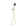 Nr251905fbg Opal Shower On Bracket With Air Shower Ii Brushed Gold Thumb.png